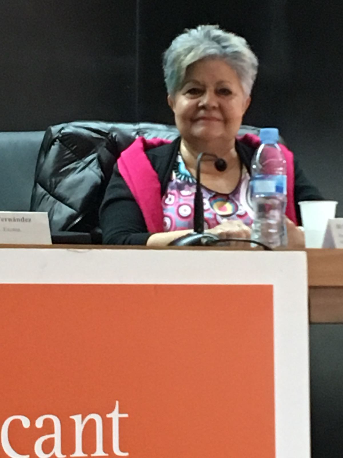 Innovaciones en Atención en Domicilios y Comunidad a Personas con Discapacidad y Personas Adultas Mayores 171128 jornada aicp alicante foto 03 pilar