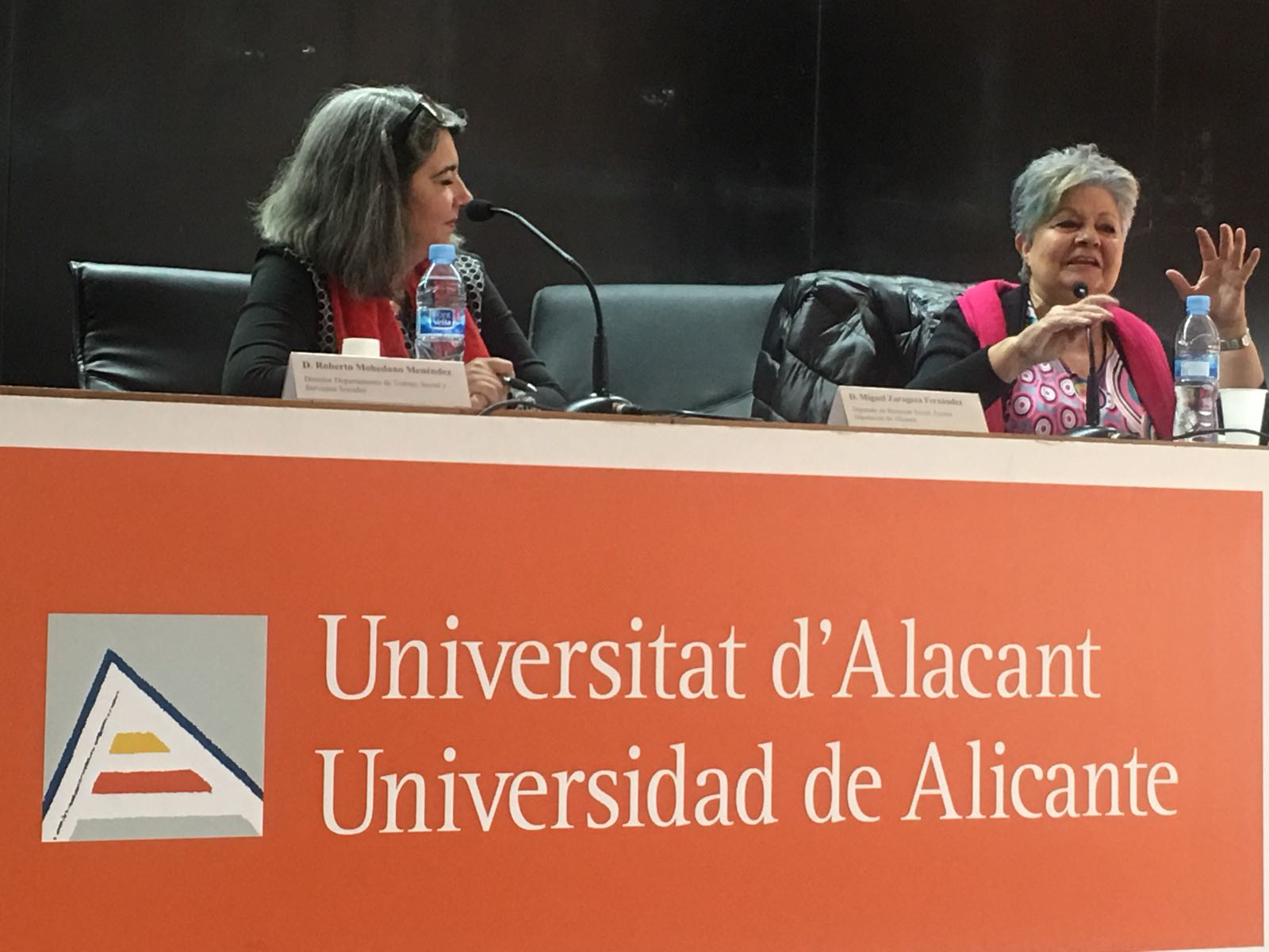 Innovaciones en Atención en Domicilios y Comunidad a Personas con Discapacidad y Personas Adultas Mayores 171128 jornada aicp alicante foto 10 pilar clarisa