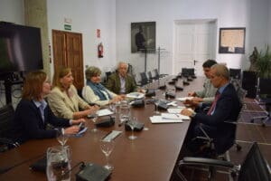 La presidenta de la Fundación Pilares participa en el primer encuentro entre la PMP y la FEMP para promover la defensa de los derechos de las personas mayores en la política local Reunion PMP FEMP